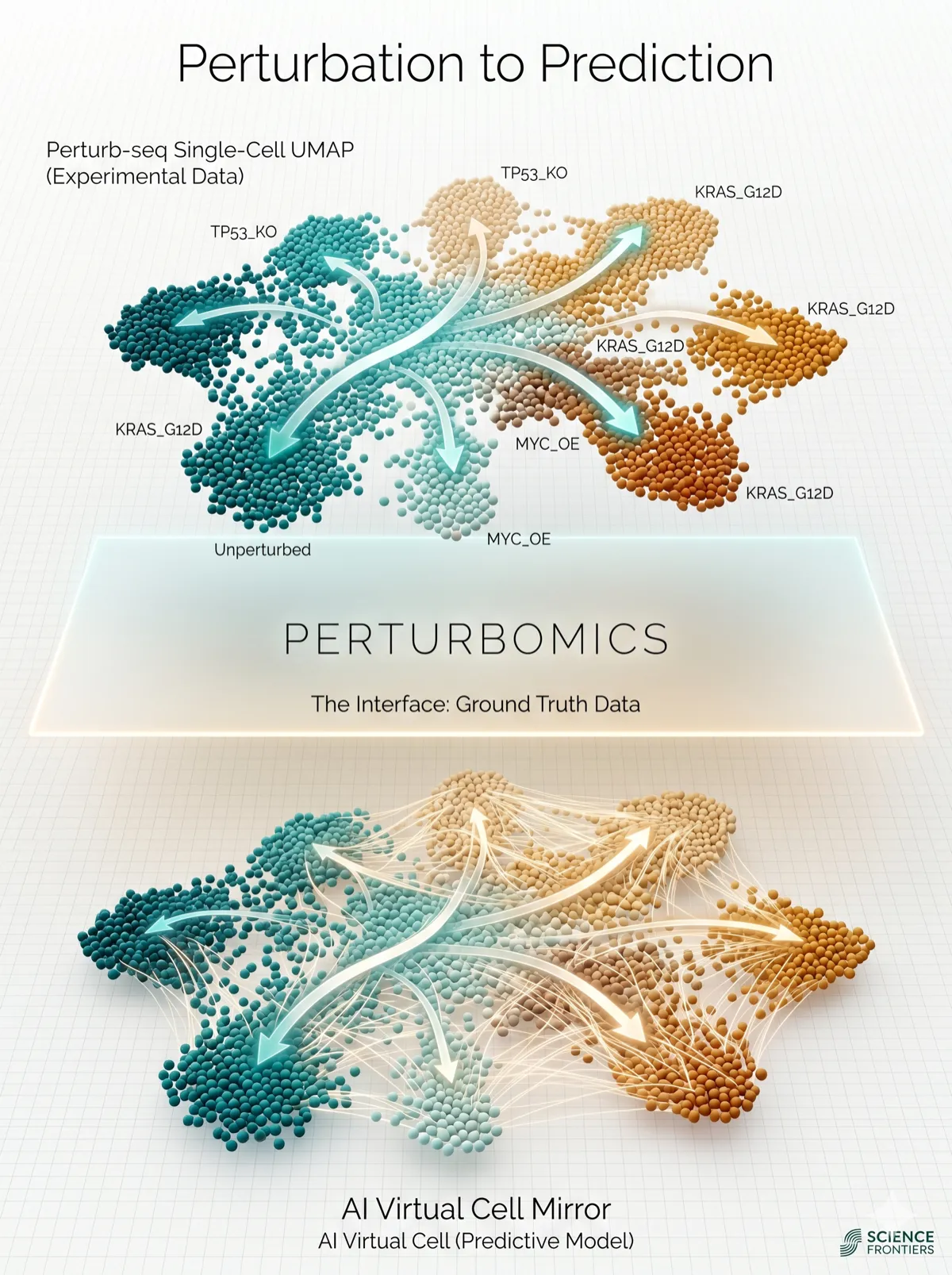 Perturb-seq workflow visualization