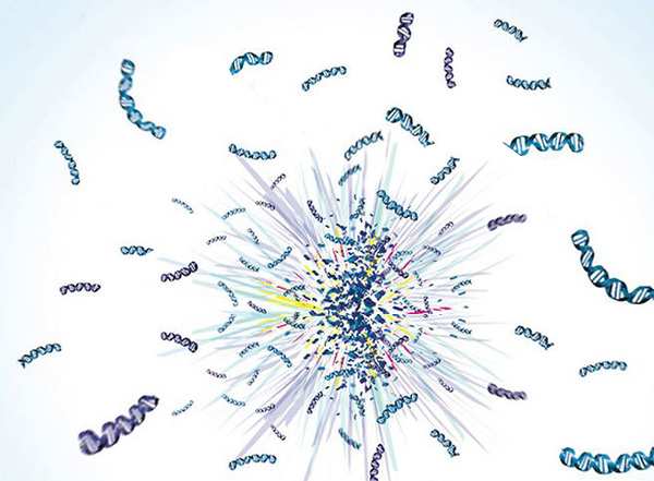 CRISRP/Cas9全基因筛选